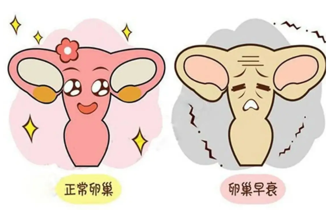 杭州广仁医院：熬夜=卵巢早衰=不孕？这个恐怖的连等式成立吗？