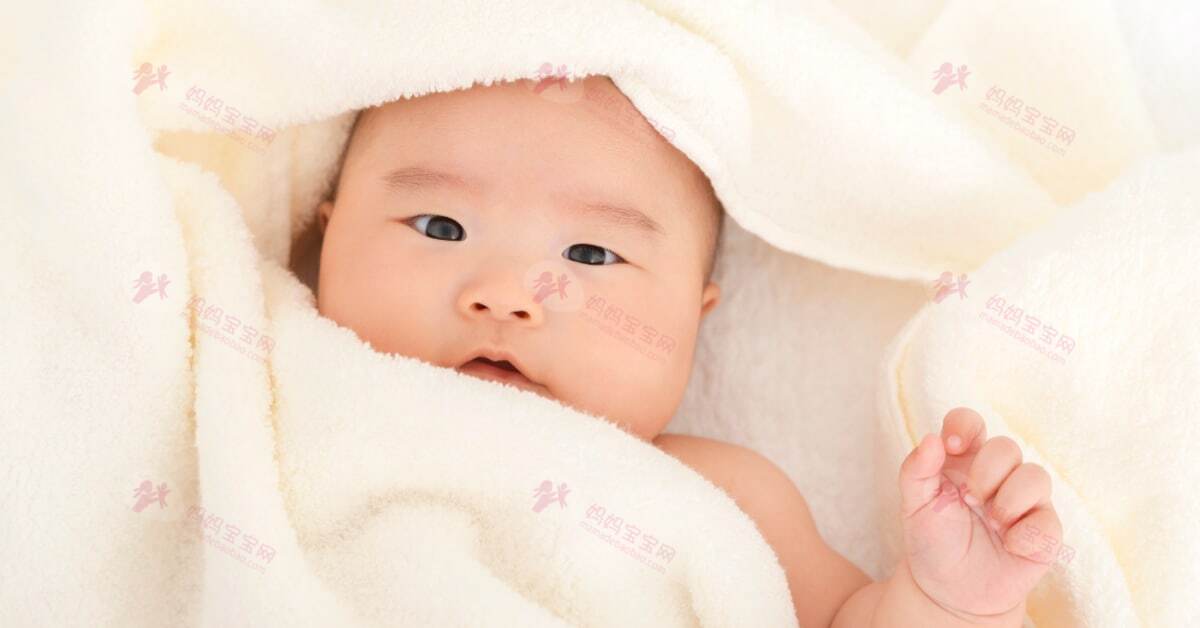 神经鞘磷脂（sphingomyelin）：除了DHA、胆素之外，宝宝大脑发育不为人知的「秘