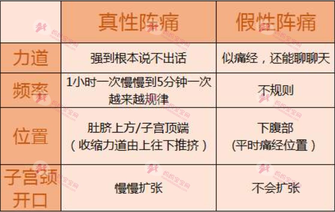 产科医师全面解析5大产兆，真假产兆，孕妈一看便知