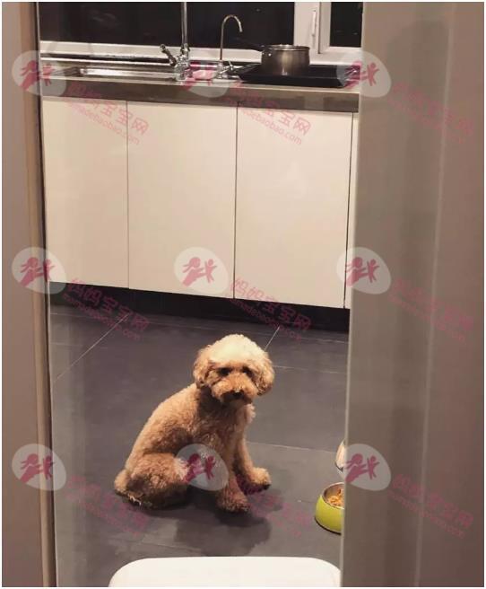 白色强人2｜Patrick Sir林溥来出身贫苦 中三以3招改变命运 3000万豪宅曝光