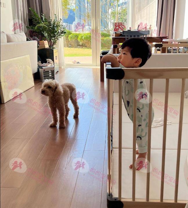 白色强人2｜Patrick Sir林溥来出身贫苦 中三以3招改变命运 3000万豪宅曝光