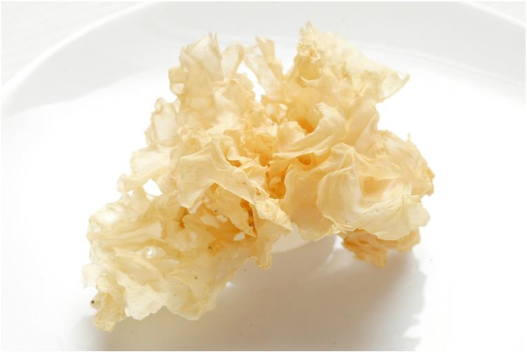 白露节气到！昼夜温差大易感冒，需注意身体缺水的征兆