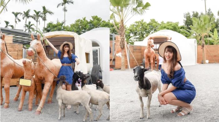 让萌宠陪你过暑假！特搜全台 5 间动物庄园，亲子旅行、情侣约会都超适合