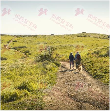 带你认识荷尔蒙！「荷尔蒙失调」知识大汇整，﻿﻿塑胶盒、杀虫剂都可能造成