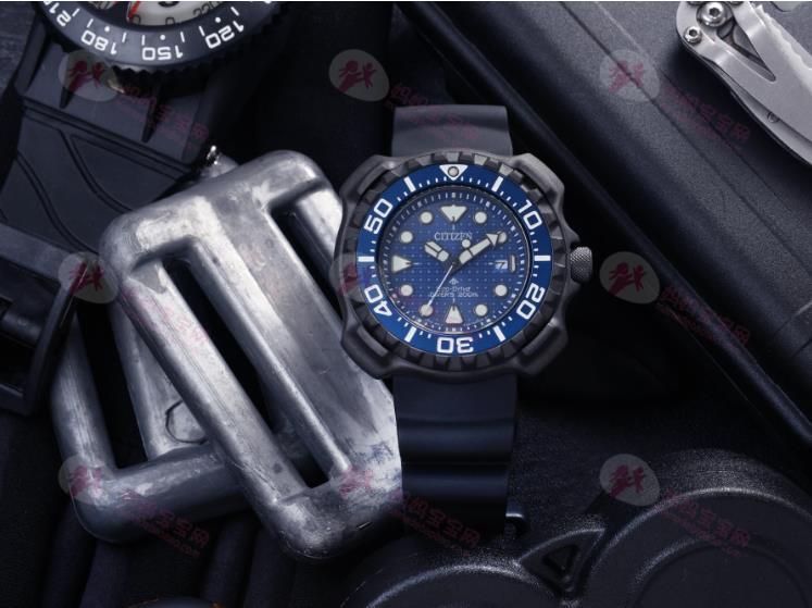 鲸鲨斑点点缀CITIZEN面盘四角护罩潜水表辨识度超高
