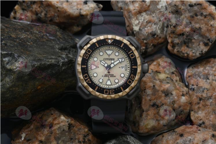 鲸鲨斑点点缀CITIZEN面盘四角护罩潜水表辨识度超高