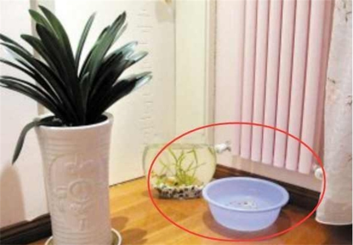 吹空调会上火 冬天吹空调上火怎么办