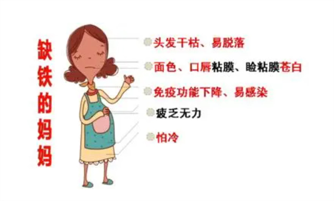 导致孕期缺铁性贫血的原因有哪些