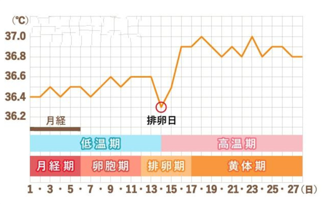 排卵期有哪些症状
