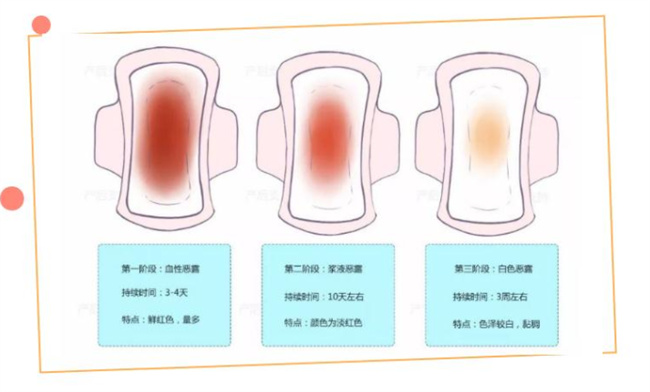 月子期间恶露多久能排干净（需要5-6周的时间）