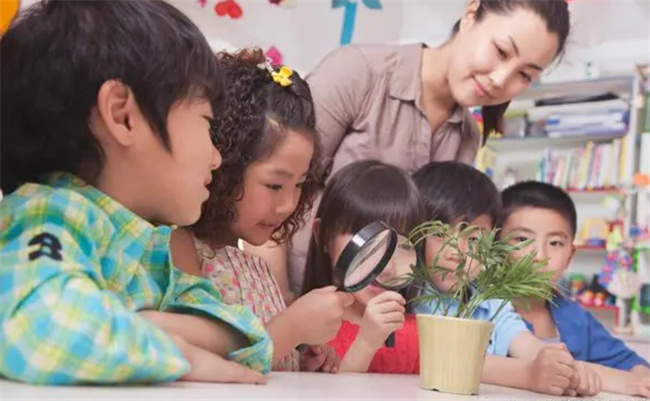 家长千万不要错过孩子补脑的黄金时期