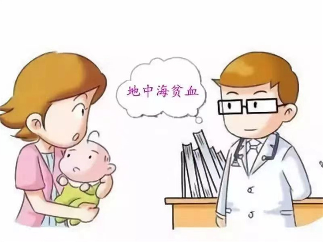 小儿地中海贫血应该怎样预防