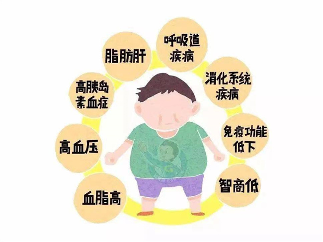 儿童肥胖有哪些危害