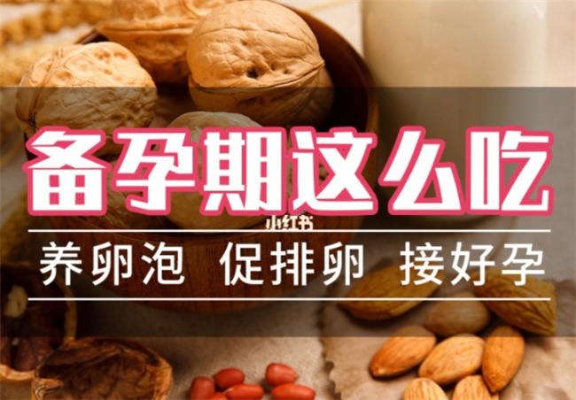 女性备孕养卵泡应该吃什么
