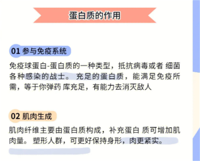 蛋白质对人体有哪些好处和作用