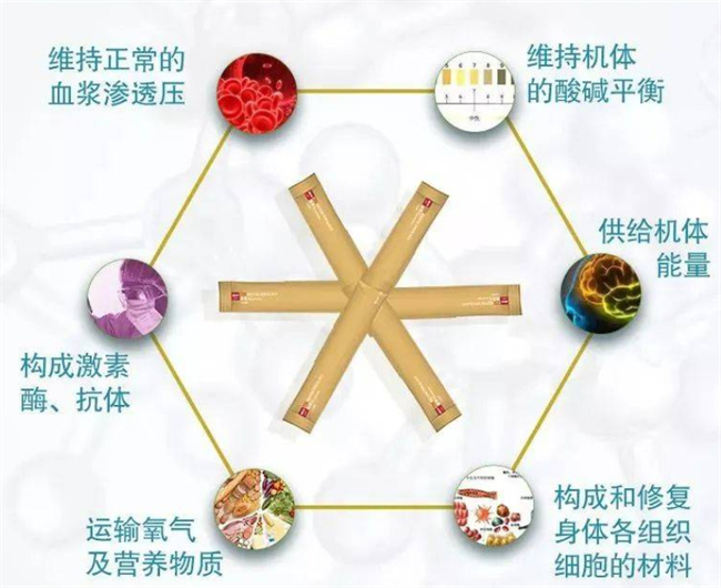 蛋白质对人体有哪些好处和作用