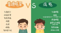 普通感冒和禽流感什么区别
