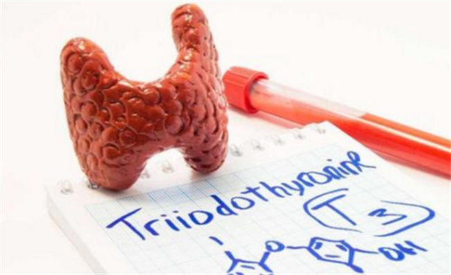 促甲状腺激素偏低有哪些危害
