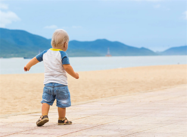 在宝宝学步期应该多吃什么食物