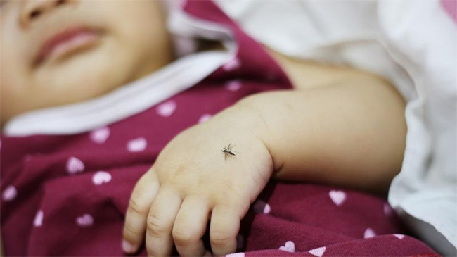 宝宝适合用的驱蚊方法