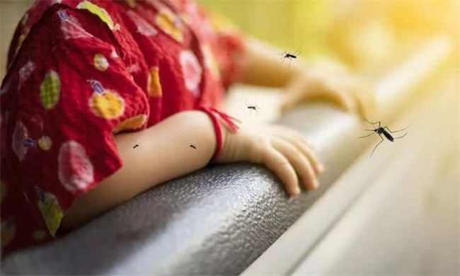 宝宝适合用的驱蚊方法