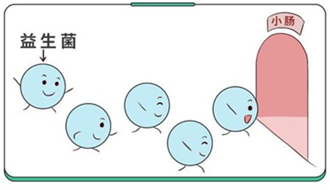 益生菌是否可以长期吃