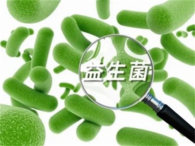 益生菌哪个牌子好