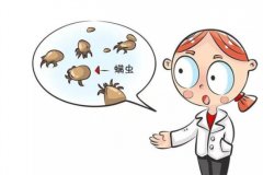 怎样正确预防宝宝被螨虫叮咬
