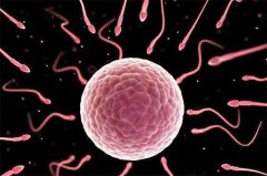 怎么知道已经着床了