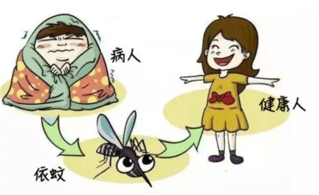 儿童登革热五大危害家长们须知