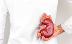 引起尿毒症的原因及预防方法，肾炎、代谢性疾病和药物副作用