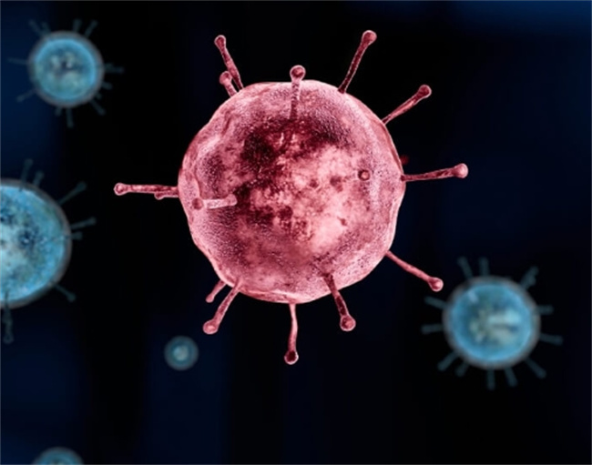 甲型流感预防与控制：个人责任与协同努力