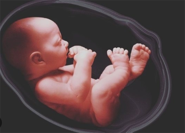 孕期之关键：羊水深度守护胎儿健康