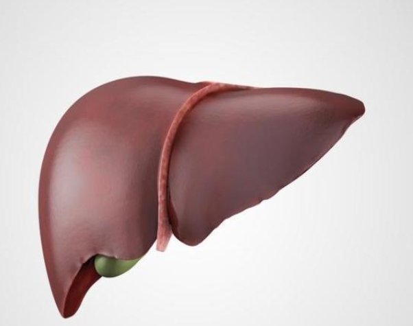 胆囊息肉：一场悄无声息的疾病