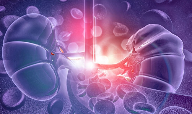 肾病综合症治愈的希望：现代治疗与中医调理的关键