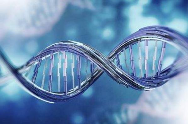 增强免疫力的秘诀：专业指导与实用建议