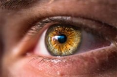 青光眼治疗：专业观点