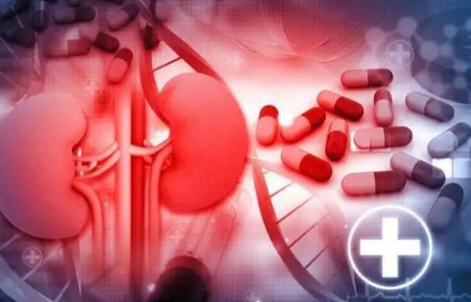 尿毒症的起因：了解导致尿毒症的五大原因