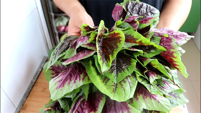 创意十足！尝试不一样的苋菜独特做法