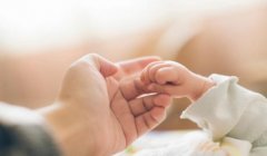 新生儿户口办理：了解登记的重要性与奥秘