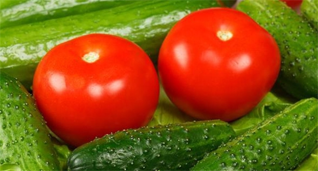 黄瓜与西红柿：搭配需谨慎