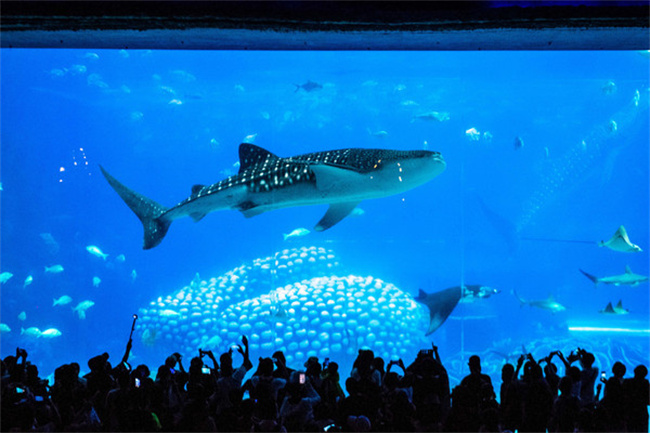 畅享夏日水立方嬉水乐园，欢乐与刺激并存