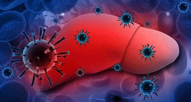 科普：乙肝小三阳转阴的科学保肝指南