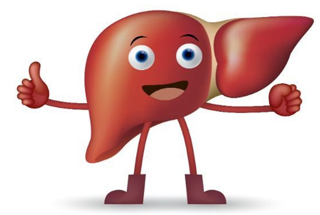 肝脏保健食谱：专业视角下的营养建议