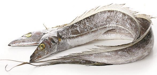 探秘带鱼的美味与营养：一种鲜香的海鲜之选