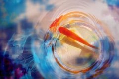 准妈妈梦见抓鱼：神秘的象征解析