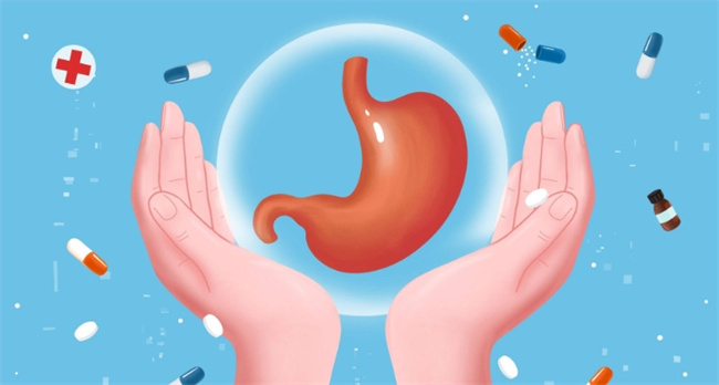 专业养胃指南：选择正确的蔬菜，守护胃部健康