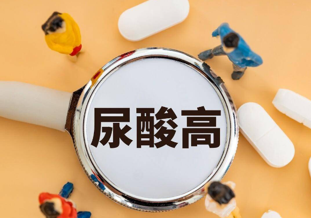 探讨血尿酸偏高与痛风的关系：从饮食到内源性代谢的解析