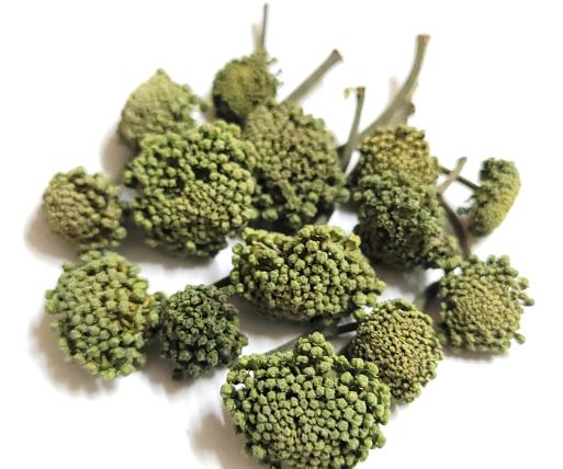 田七花：天然疗愈的多功能之宝