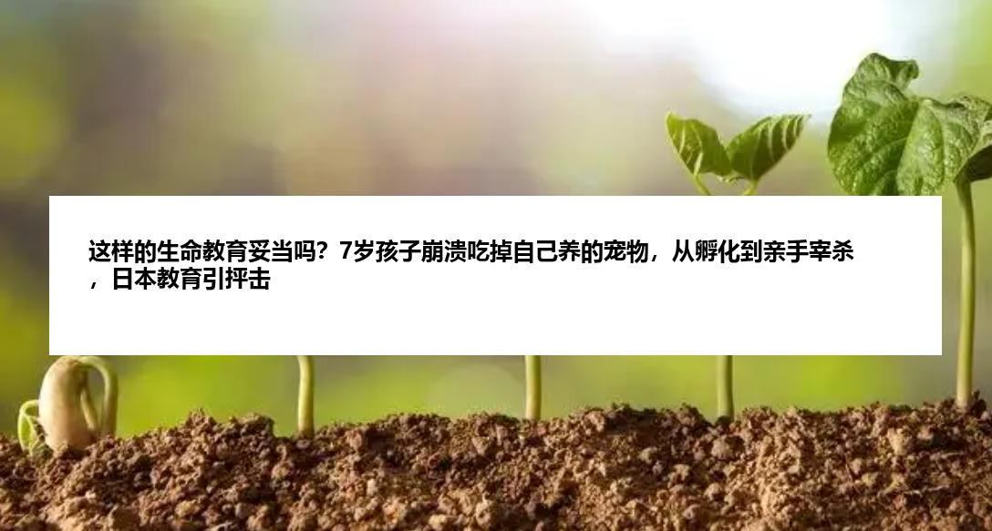 这样的生命教育妥当吗？7岁孩子崩溃吃掉自己养的宠物，从孵化到亲手宰杀，日本教育引抨击